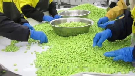 Sinocharm Brc a Approved Salted IQF Edamame Peeled Frozen Edamame