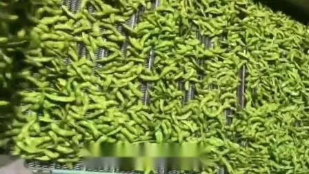 Sinofrost, Reliable IQF Edamame Supplier - Premium Quality Frozen Green Soybeans-Non GMO IQF Frozen Edamame in Pods, GMO Free IQF Frozen Green Soybean