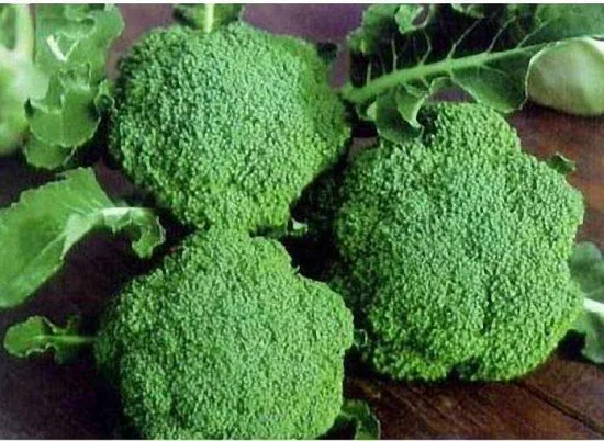 Legumes verdes frescos de alta qualidade, alimentos saudáveis, brócolis fresco