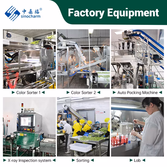 Fabricante Sinocharm Edamame cozido congelado em vagem de pesticidas garantidos a partir da base agrícola